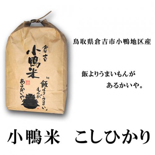 新米 令和3年度産　鳥取県倉吉市産　コシヒカリ　小鴨米5kg