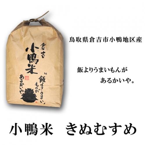 新米　令和3年度産　鳥取県倉吉市産　きぬむすめ　小鴨米10kg